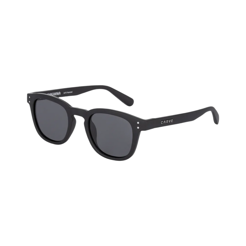 Load image into Gallery viewer, Carve Havana Matte Black Polarized