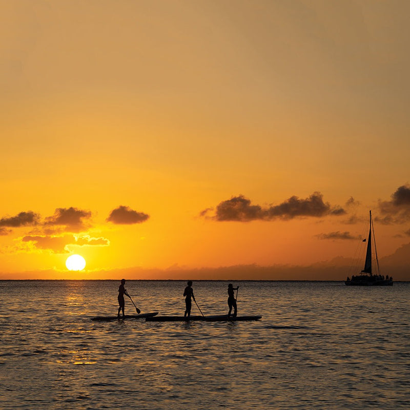 Load image into Gallery viewer, O&E Kids Fibreglass Shaft/Plastic/Rubber edge Paddle