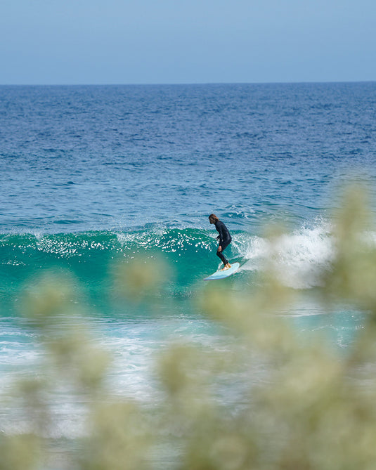 O&E Log Dog Single Fin Softboard