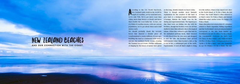 Load image into Gallery viewer, The Big Little Beach Book