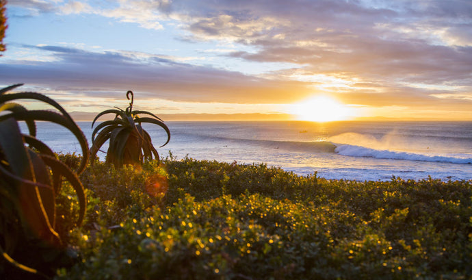 Corona Open J-Bay 2018