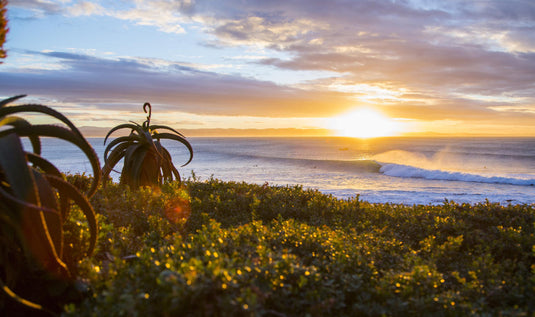 Corona Open J-Bay 2018