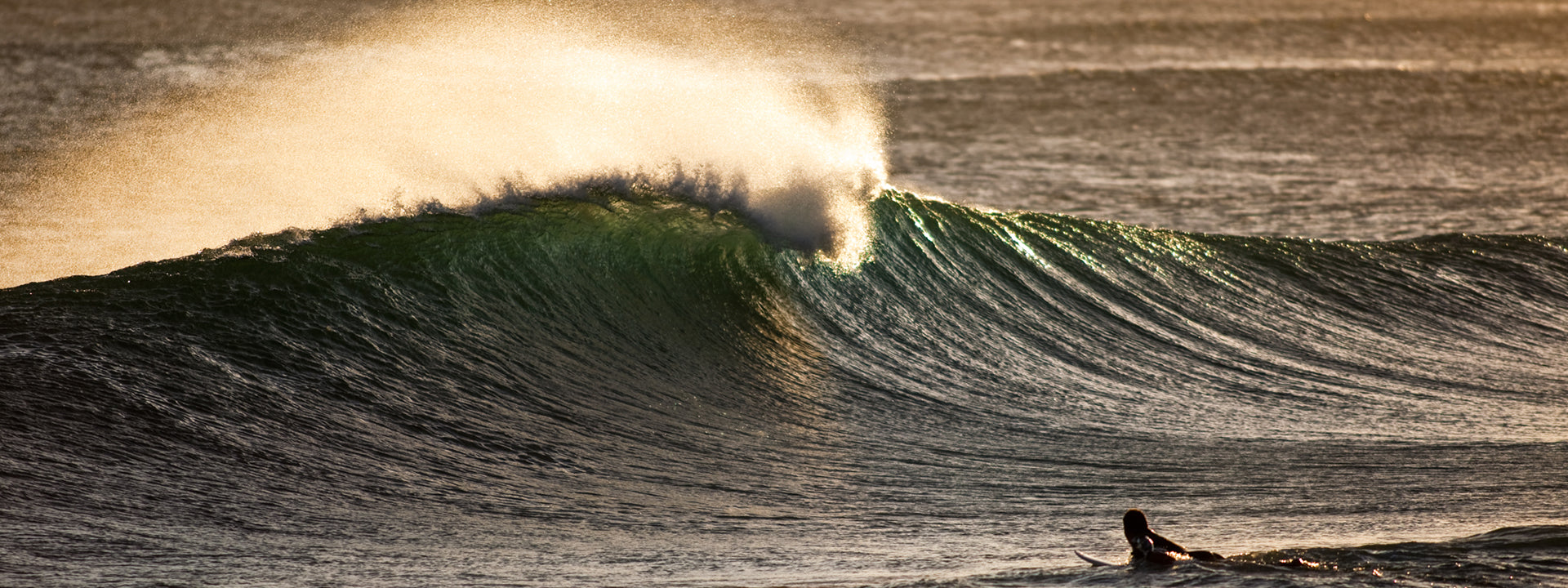 Surf Accessories | Watches, Sunglasses, Wallets and Bags – Exit Surf ...