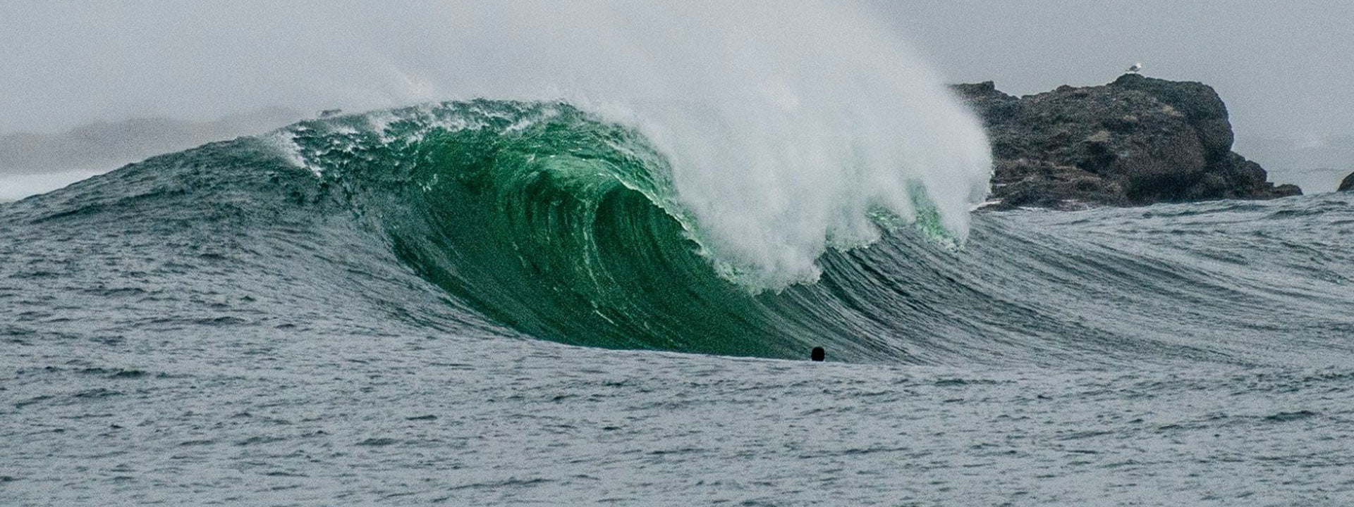 Earplugs – Exit Surf | The Surfers Store