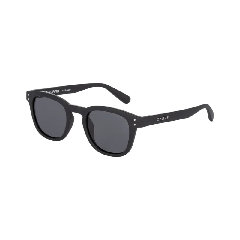 Load image into Gallery viewer, Carve Havana Matte Black Polarized
