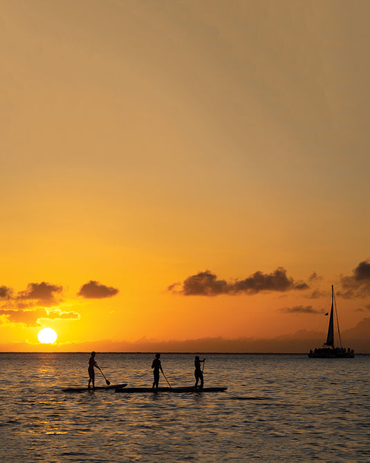 O&E CRUISER 10'0 SUP